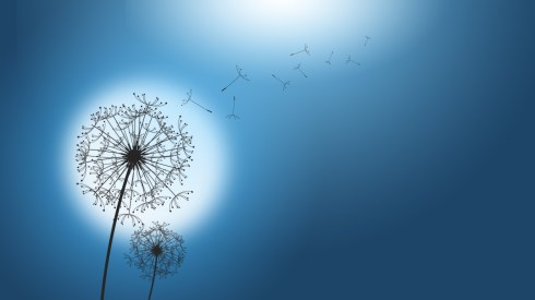 TS-default_1920x1080